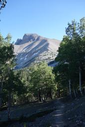 Late afternoon light on wheeler peak [sun sep 1 17:32:07 mdt 2019]